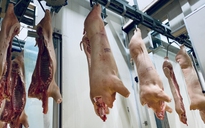 Bộ trưởng Nông nghiệp thăm trại lợn, chỉ rõ nguyên nhân giá thịt tăng 'phi mã'