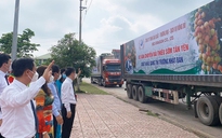 Bắc Giang đề nghị Thủ tướng ‘mở làn xanh’ cho xe vải thiều