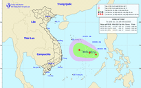 Biển Đông xuất hiện vùng áp thấp hướng vào miền Trung