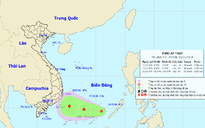 Miền Bắc có mưa rét từ đêm nay, áp thấp hình thành ở nam Biển Đông