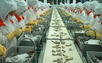 Nhiều lô hàng thủy sản xuất sang Trung Quốc vi phạm chỉ tiêu dịch bệnh