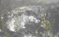 Bão số 14 suy yếu thành áp thấp nhiệt đới