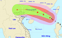 Không loại trừ bão số 2 đổ bộ vào đất liền Việt Nam