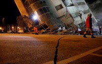 Chưa phát hiện lao động Việt Nam thương vong trong vụ động đất tại Đài Loan