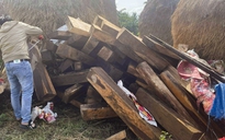 Quảng Ngãi: Phát hiện hơn 100 thanh gỗ ké không rõ nguồn gốc
