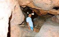 Kỳ bí gốc bàng 600 tuổi như hang động được trả 35 tỉ mà chủ không bán