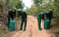 Bỏ... pháo chạy lấy người