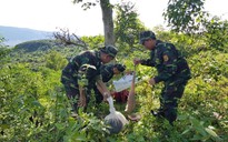 Bỏ động vật hoang dã, 'chạy lấy người'