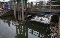 Hồ Đại An giữa lòng TP.Đông Hà bốc mùi vì hàng tấn cá chết