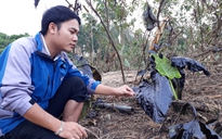 Quảng Trị: Phát hiện Trạm trộn bê tông nhựa xả nhớt thải ra sông Hiếu