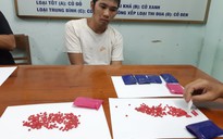 Quảng Trị: Bị bắt khi vận chuyển 1.400 viên ma túy tổng hợp