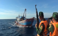 Quảng Trị: Truy bắt 2 tàu cá khai thác giã cào tận diệt hải sản gần bờ