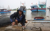 Quảng Trị: Đảo Cồn Cỏ chuẩn bị hầm trú ẩn cho người dân tránh bão Noru