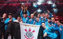 Đội tuyển Brazil đạt chức vô địch giải đấu World Series 2019