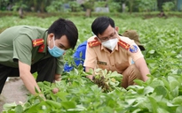 'Áo xanh ra đồng' mỗi ngày thu hoạch 15 tấn nông sản giúp nông dân Tiền Giang
