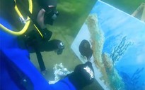 Vẽ tranh dưới nước