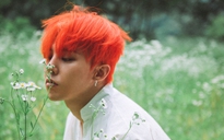 Fan thất vọng vì album USB của G-Dragon bị lem màu