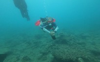 Thực hư chuyện Khu bảo tồn biển Hòn Mun Nha Trang bị tàn phá nghiêm trọng: BQL nói gì?