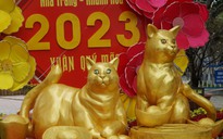 Linh vật mèo tại TP.Nha Trang bị chê 'thừa cân', đơn vị thực hiện nói gì?