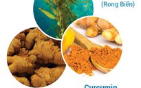 Sử dụng curcumin, fucoidan, tam thất trong hỗ trợ điều trị ung thư