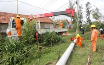 Thủ tướng Chính phủ biểu dương nỗ lực của ngành điện trong phòng chống thiên tai