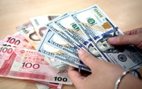 Giá USD tăng đều đều