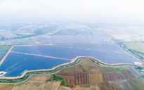 Tập đoàn TTC và Gulf (Thái Lan) khánh thành nhà máy điện mặt trời tại Tây Ninh