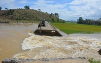 Vỡ đê bao Quảng Điền ở Đắk Lắk , lũ đe dọa nhấn chìm 2.000 ha lúa