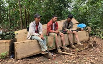 Đắk Lắk: Công an xuyên đêm mật phục, bắt vụ phá rừng nguyên sinh ở Krông Bông