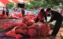 Hơn 300 tấn rau củ quả Đắk Lắk gửi TP.HCM, Nha Trang giúp sức chống Covid-19