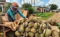 Đắk Lắk: Huyện quy định bán xong nông sản, người dân phải cách ly tại nhà