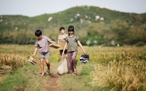 ‘Tôi thấy hoa vàng trên cỏ xanh’ đến Cannes 2015