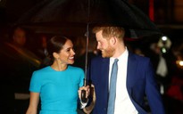 Vợ chồng Harry và Meghan sản xuất phim trực tuyến