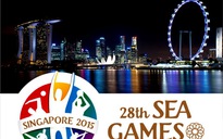 Infographic - Toàn cảnh về Đoàn thể thao Việt Nam tại SEA Games 28