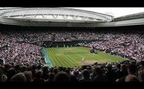 700 triệu đồng giải thưởng 'Cùng Bia Sài Gòn dự đoán kết quả Wimbledon và US Open'