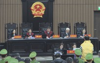 Tuyên án vắng mặt cựu chủ tịch AIC Nguyễn Thị Thanh Nhàn 30 năm tù