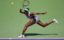 Venus ‘hồi xuân’ đánh bại Wozniacki để vào tứ kết Miami Open