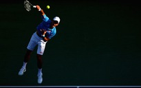 Djokovic đối đầu với Murray trong trận chung kết Miami Open
