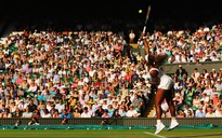 Serena và những chiến tích tại Wimbledon