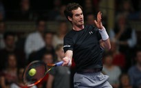 Andy Murray sang Úc 'luyện công' sớm