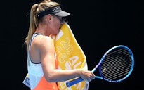 Sharapova tính chuyện giã từ quần vợt