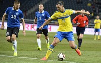 Thụy Điển hy vọng Ibrahimovic tiếp tục gieo sầu cho người Ý