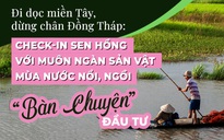 Dọc miền Tây, dừng chân Đồng Tháp: Check-in sen hồng với muôn ngàn sản vật mùa nước nổi, 'bàn chuyện' đầu tư