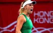 Giải quần vợt Porsche Grand Prix 2017: Wozniacki 'đá xoáy' Sharapova