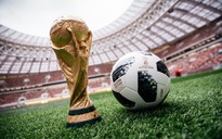 'Bão' châu chấu đe dọa tàn phá World Cup 2018
