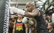 Mayweather xuất hiện trong lồng sắt MMA