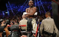 Độc cô cầu bại’ Mayweather tuyên bố trở lại sàn đấu, quyền anh thế giới háo hức