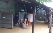 Nước lũ lên nhanh, gần 20.000 nhà dân ở Bình Định bị ngập