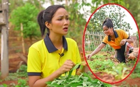 H'Hen Niê nói về cuộc sống trong mùa dịch: 'Có những ngày không xài đồng nào'