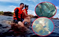 Quang Vinh, Phạm Quỳnh Anh bị 'ném đá' vì ngồi lên san hô ở Phú Quốc